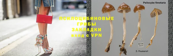 героин Алексин