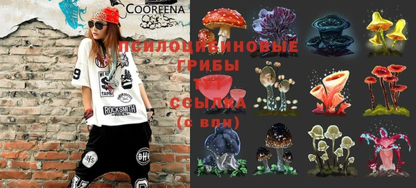 героин Алексин