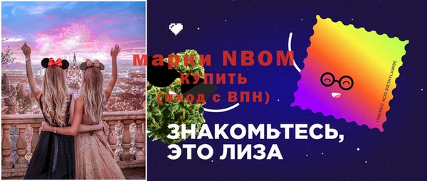 твердый Медногорск